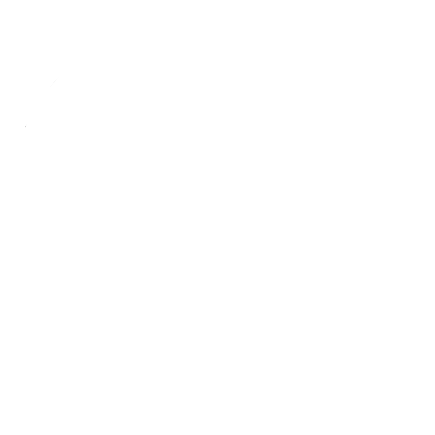 Logo ISLANDFREUND